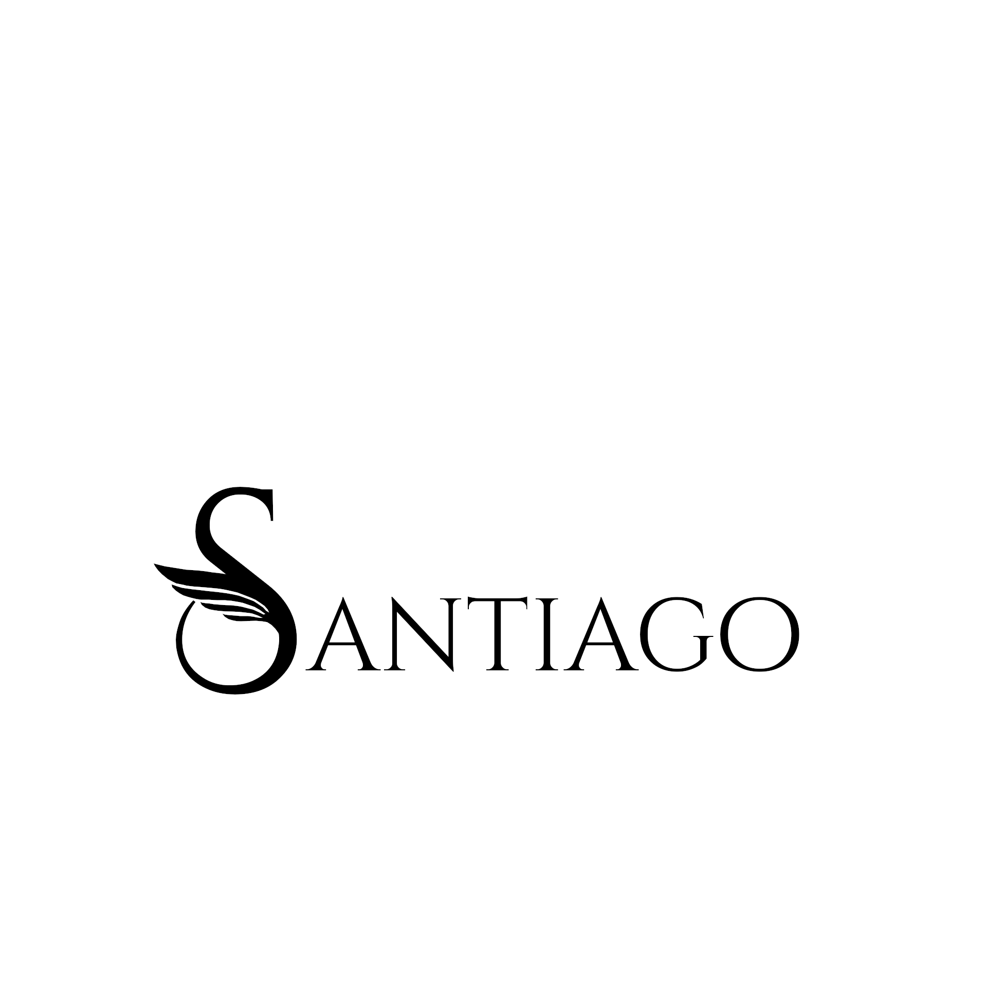 Santiago Studio